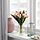 SMYCKA - 人造花束, 室內/戶外用/鬱金香 粉紅色 | IKEA 線上購物 - PE836360_S1