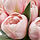 SMYCKA - 人造花束, 室內/戶外用/鬱金香 粉紅色 | IKEA 線上購物 - PE836359_S1
