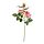 SMYCKA - artificial flower, in/outdoor/Rose pink | IKEA Taiwan Online - PE836370_S1