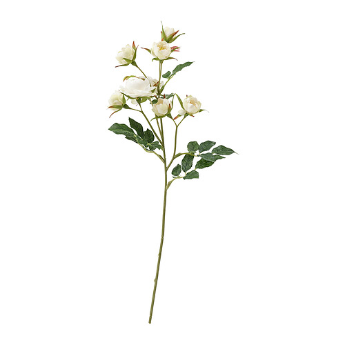 SMYCKA - 人造花, 室內/戶外用/迷你玫瑰 白色 | IKEA 線上購物 - PE836373_S4