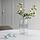 SMYCKA - 人造花, 室內/戶外用/迷你玫瑰 白色 | IKEA 線上購物 - PE836375_S1