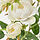 SMYCKA - 人造花, 室內/戶外用/迷你玫瑰 白色 | IKEA 線上購物 - PE836374_S1