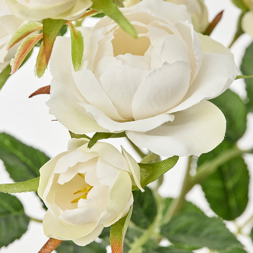 SMYCKA - 人造花, 室內/戶外用/迷你玫瑰 白色 | IKEA 線上購物 - PE836374_S4