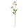 SMYCKA - artificial flower, in/outdoor/Poppy orange-pink | IKEA Taiwan Online - PE836376_S1