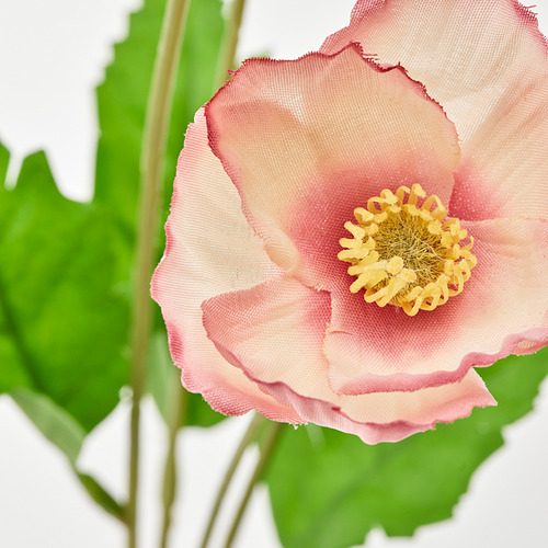 SMYCKA - artificial flower, in/outdoor/Poppy orange-pink | IKEA Taiwan Online - PE836377_S4