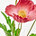 SMYCKA - 人造花, 室內/戶外用/罌粟花 紅色 | IKEA 線上購物 - PE836380_S1
