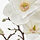 SMYCKA - 人造花, 室內/戶外用/木蘭花 白色 | IKEA 線上購物 - PE836383_S1