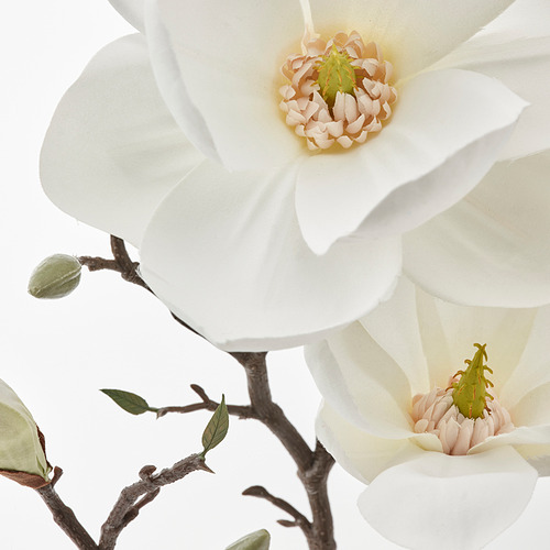 SMYCKA - 人造花, 室內/戶外用/木蘭花 白色 | IKEA 線上購物 - PE836383_S4