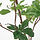 SMYCKA - 人造枝狀花飾, 吊鐘花 | IKEA 線上購物 - PE836386_S1