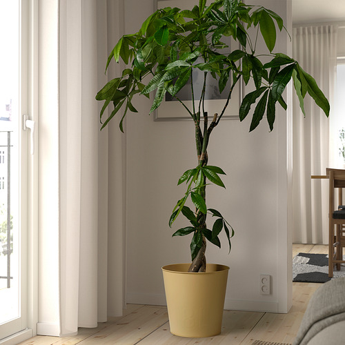 ÅKERBÄR plant pot