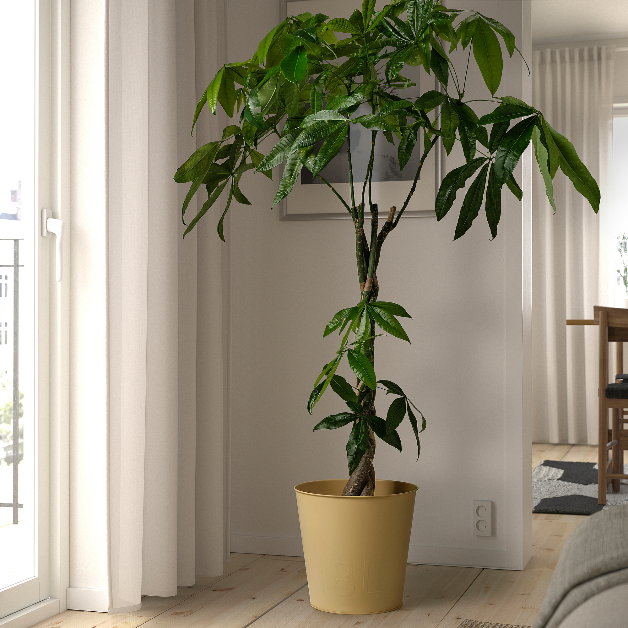 ÅKERBÄR plant pot