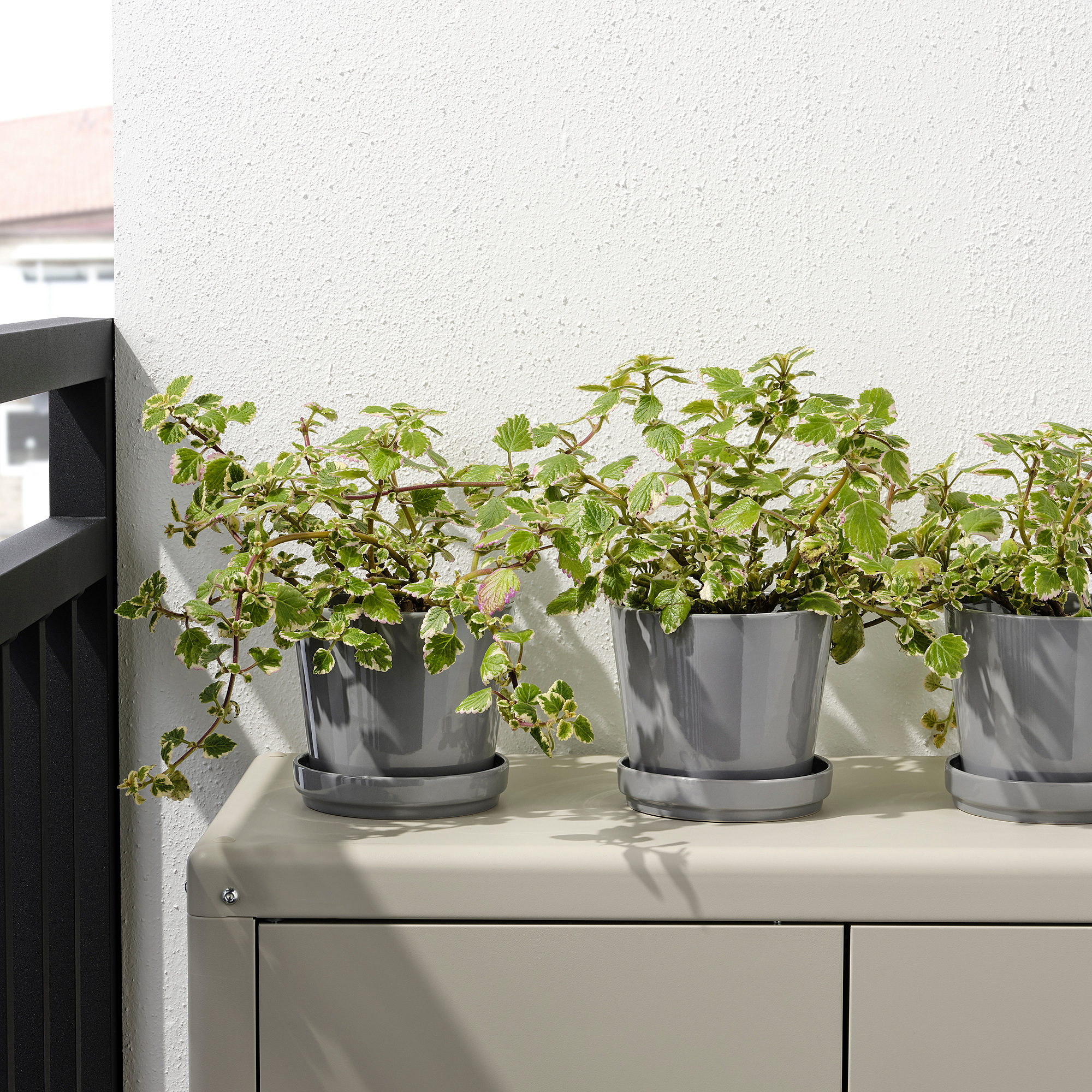 Citrusfrukt 花盆附底盤 室內 戶外用灰色 Ikea 線上購物