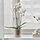 GRADVIS - plant pot | IKEA Taiwan Online - PE840308_S1