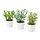 FEJKA - 人造盆栽 3件組, 室內/戶外用 草本植物 | IKEA 線上購物 - PE840155_S1