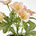 FEJKA - 人造盆栽 3件組, 室內/戶外用 各式花卉 | IKEA 線上購物 - PE840160_S1