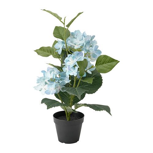 FEJKA - artificial potted plant, in/outdoor/Hydrangea blue | IKEA Taiwan Online - PE840167_S4