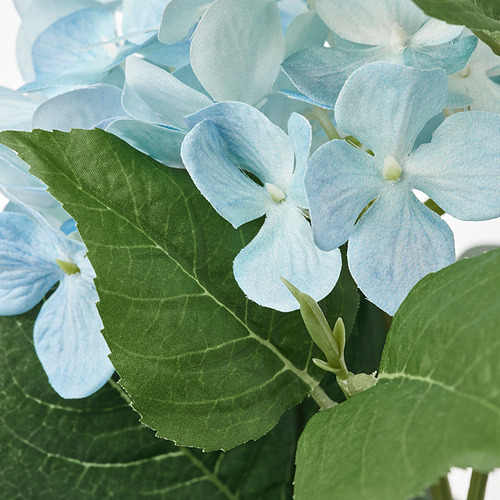 FEJKA - artificial potted plant, in/outdoor/Hydrangea blue | IKEA Taiwan Online - PE840169_S4