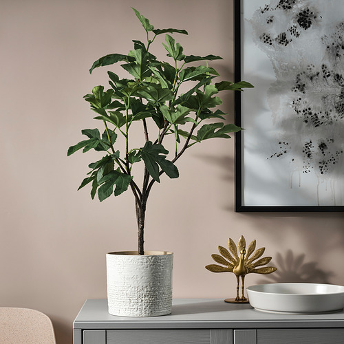 FEJKA - 人造盆栽, 室內/戶外用 無花果 | IKEA 線上購物 - PE840171_S4