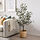 FEJKA - 人造盆栽, 室內/戶外用 橄欖樹 | IKEA 線上購物 - PE840174_S1