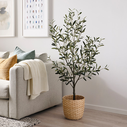 FEJKA - 人造盆栽, 室內/戶外用 橄欖樹 | IKEA 線上購物 - PE840174_S4