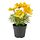 FEJKA - 人造盆栽, 室內/戶外用/大波斯菊 黃色 | IKEA 線上購物 - PE840185_S1