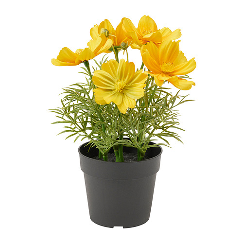 FEJKA - 人造盆栽, 室內/戶外用/大波斯菊 黃色 | IKEA 線上購物 - PE840185_S4