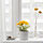 FEJKA - 人造盆栽, 室內/戶外用/大波斯菊 黃色 | IKEA 線上購物 - PE840186_S1