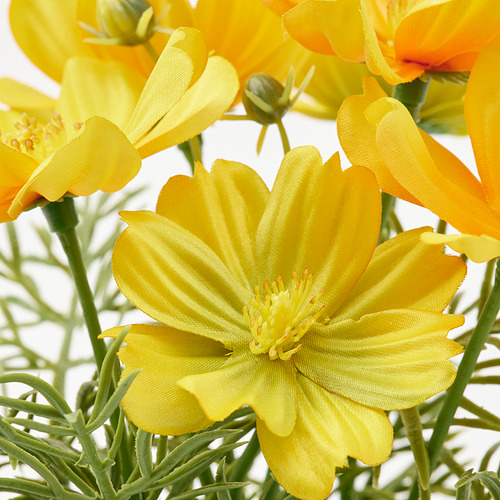 FEJKA - artificial potted plant, in/outdoor/cosmos yellow | IKEA Taiwan Online - PE840187_S4