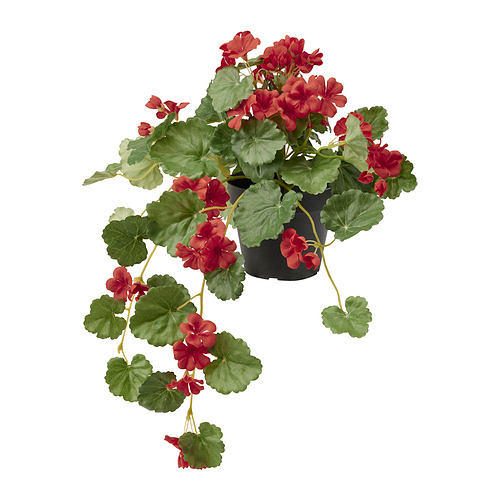 FEJKA - 人造盆栽, 室內/戶外用 天竺葵/眼樹蓮 紅色 | IKEA 線上購物 - PE840188_S4