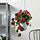 FEJKA - 人造盆栽, 室內/戶外用 天竺葵/眼樹蓮 紅色 | IKEA 線上購物 - PE840189_S1