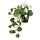 FEJKA - 人造盆栽, 室內/戶外用 天竺葵/眼樹蓮 白色 | IKEA 線上購物 - PE840191_S1