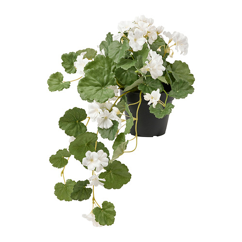 FEJKA - 人造盆栽, 室內/戶外用 天竺葵/眼樹蓮 白色 | IKEA 線上購物 - PE840191_S4