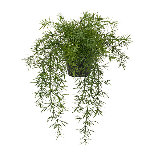 FEJKA - 人造盆栽, 室內/戶外用 石刁柏/眼樹蓮, 12 公分 | IKEA 線上購物 - PE840194_S4