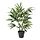 FEJKA - 人造盆栽, 室內/戶外用 竹 | IKEA 線上購物 - PE840201_S1