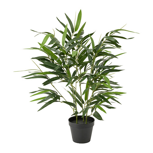 FEJKA - 人造盆栽, 室內/戶外用 竹 | IKEA 線上購物 - PE840201_S4