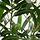 FEJKA - 人造盆栽, 室內/戶外用 竹 | IKEA 線上購物 - PE840153_S1