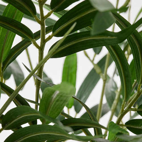 FEJKA - 人造盆栽, 室內/戶外用 竹 | IKEA 線上購物 - PE840153_S4