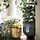 FEJKA - 人造盆栽, 室內/戶外用 尤加利木 | IKEA 線上購物 - PE838374_S1