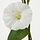 ANLEDNING - 人造花環, 白色/綠色 | IKEA 線上購物 - PE838400_S1