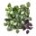 FEJKA - 人造植物, 上牆式/室內/戶外用 綠色/紫色 | IKEA 線上購物 - PE697841_S1