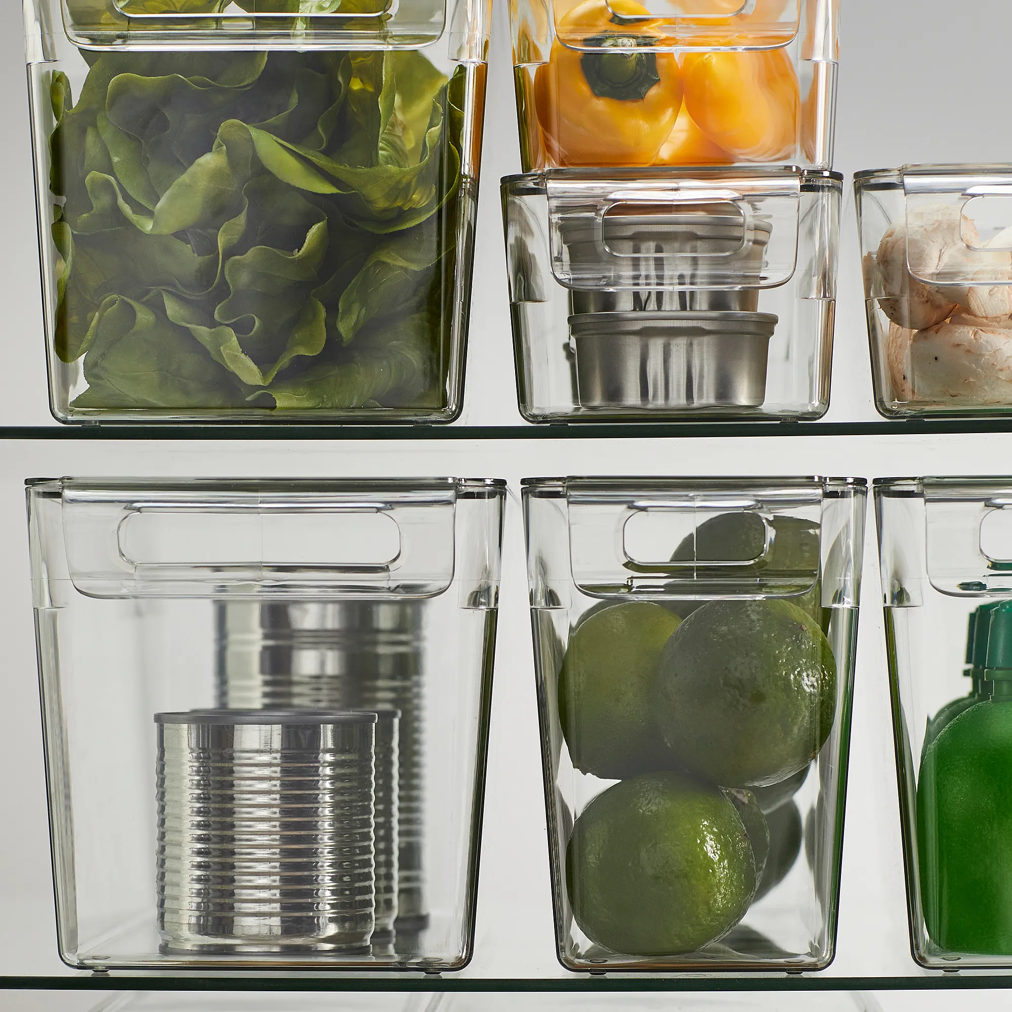 KLIPPKAKTUS storage box for fridge