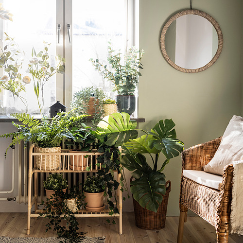 FEJKA - 人造盆栽, 室內/戶外用 龜背芋 | IKEA 線上購物 - PE838537_S4