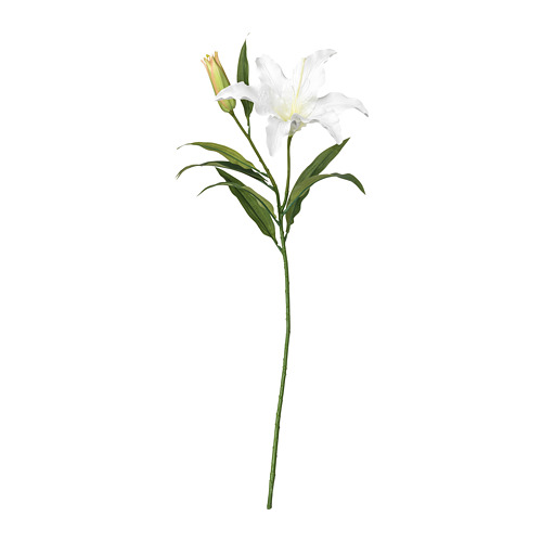 SMYCKA - artificial flower, Lily/white | IKEA Taiwan Online - PE698122_S4