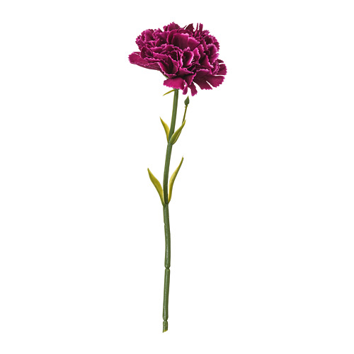 SMYCKA - 人造花, 康乃馨/深紫色 | IKEA 線上購物 - PE698127_S4