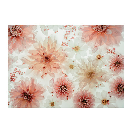 BILD - poster, flowers-transparent, 70x50 cm | IKEA Taiwan Online - PE917875_S4