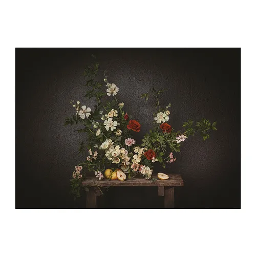 PJÄTTERYD - 無框畫, 黑牆前的花, 70x50 公分 | IKEA 線上購物 - PE917883_S4