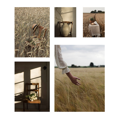 RÖDALM - poster, set of 5, golden moments | IKEA Taiwan Online - PE917909_S4
