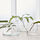 CYLINDER - vase/bowl, set of 3, clear glass | IKEA Taiwan Online - PE584243_S1