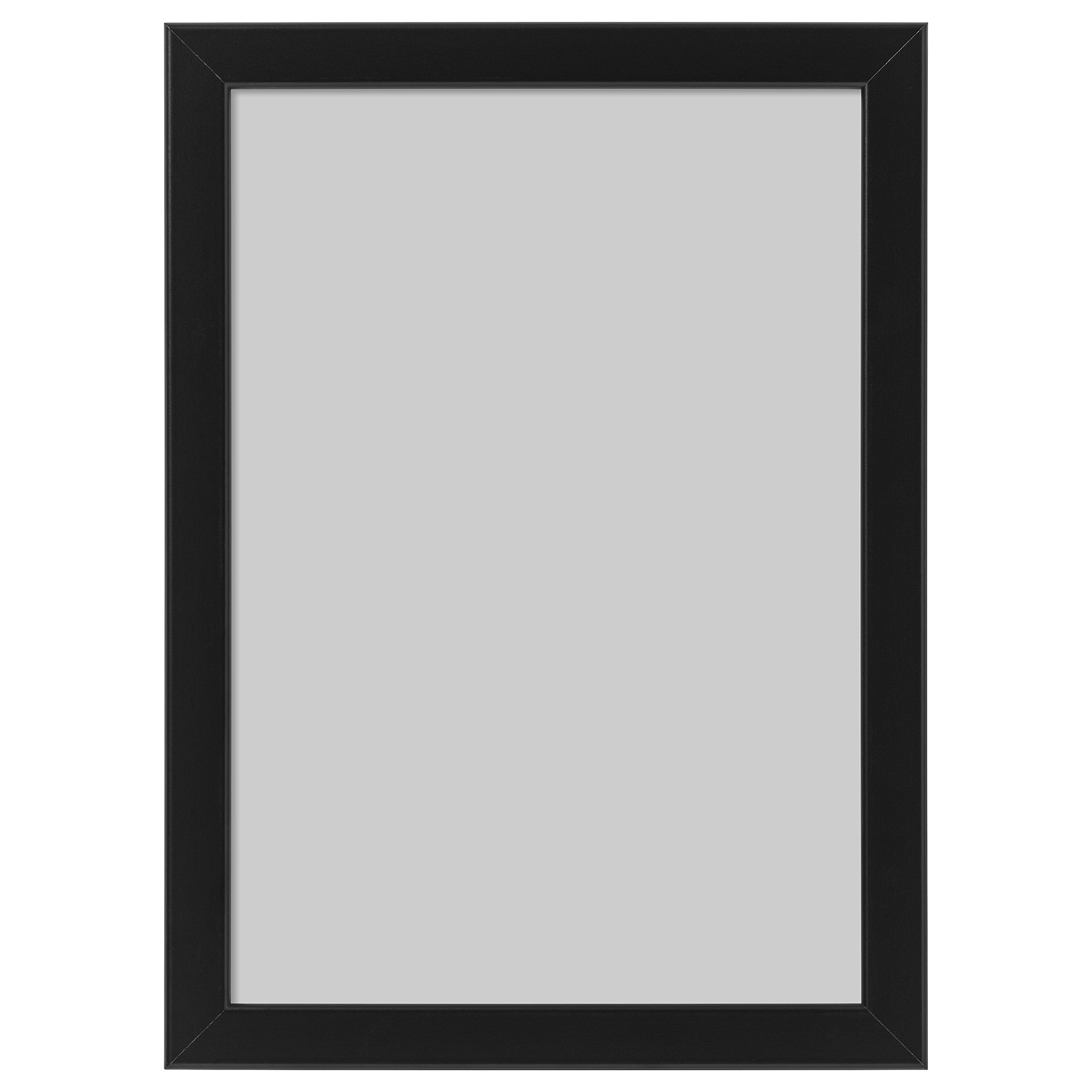 FISKBO frame
