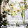 BERÄKNA - 花瓶, 透明玻璃 | IKEA 線上購物 - PE839379_S1